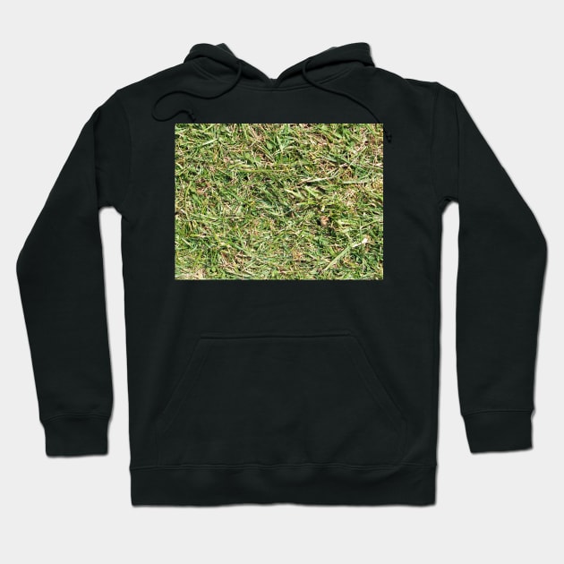 Grass Texture Hoodie by pinkal